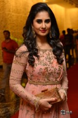 Shamili at Ammammagari Illu Pre Release Function Photos